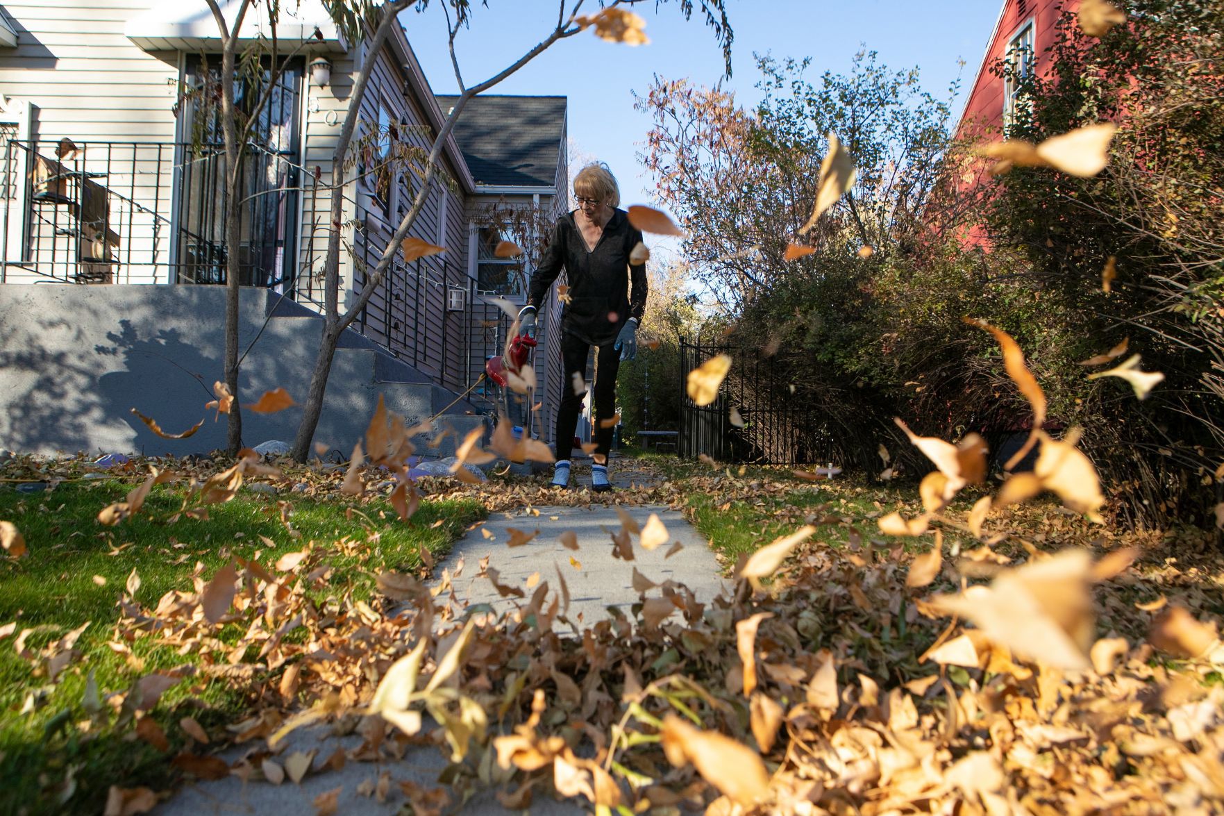 Cleaning up autumn